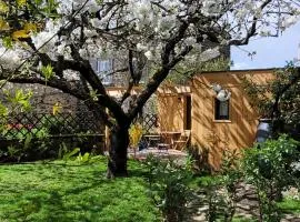 La maisonnette sous le cerisier