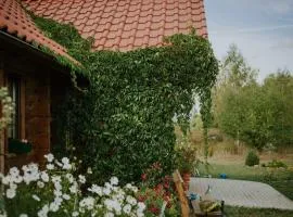 Dom Gościnny Sowia Stópka