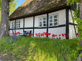 Sofie's Hus - Munkgaard Bed & Breakfast，位于Hårlev的别墅