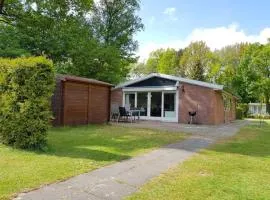 Saevis tranquillus in undis in de IJsvogel