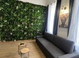 Charmant Duplex centre de nimes