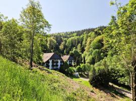 Ferienwohnung in Triberg am Waldrand - idyllisch, ruhig, erholsam，位于特里贝格的酒店