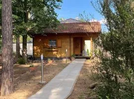 FEWO PARTNERS Haus Clemens - Gemütliches Holzhaus mit Grundstück nahe Badesee