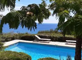 Maison 3 pièces avec piscine privée à Bormes-les-Mimosas - FR-1-251-777