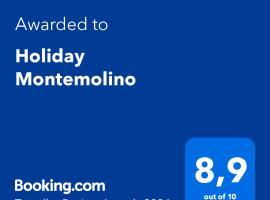 Holiday Montemolino，位于托迪的乡间豪华旅馆