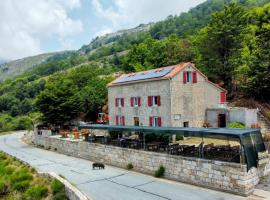 Ferme auberge du col de la vaccia，位于Olivese的酒店
