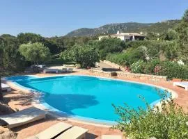 Ville con vista mare e piscina comune a Porto Cervo