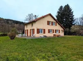 Gîte spacieux avec cheminée, proche nature, accessible PMR, idéal famille et motards - FR-1-589-34