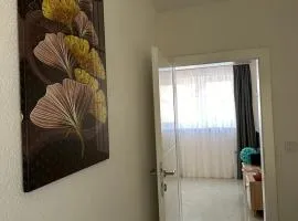 Saray Apartman