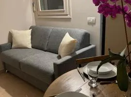 Joli studio à Monaco