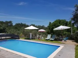 DOMAINE de la QUINTA FENIX- Quarto Olivia