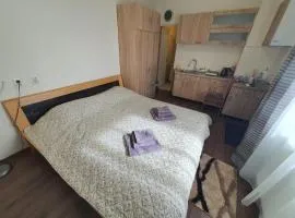 Zara Apartament 3