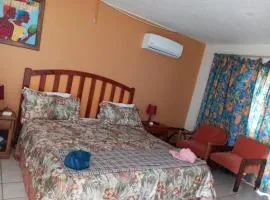 普特维丽兹公寓，尼格瑞尔，牙买加