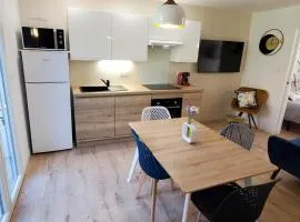 Joli appart 2 chambres en centre ville - parking et jardin