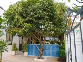 Nhà Yên Homestay