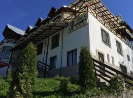 Pensiunea Cabana Veverita Valea Doftanei