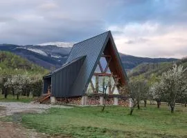 Cabana A-frame Dor de Hateg