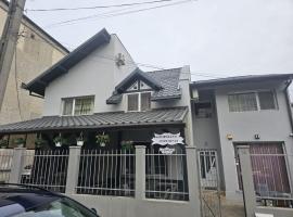 Georgiana Apartments 2，位于蒂米什瓦拉的酒店