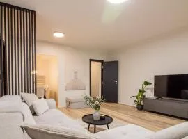 Old Town Deluxe Apartment