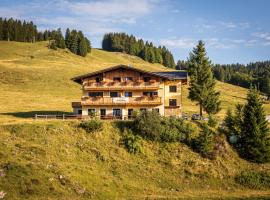 Almhaus Alpenrose Postalm，位于Seidegg的山林小屋