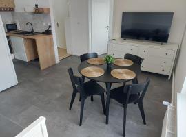 Apartmán Krásná Lípa，位于克拉斯纳利帕的酒店