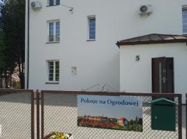 Motel Królowej Jadwigi Alicja Szymańska-Pokoje na Ogrodowej，位于桑多梅日的酒店