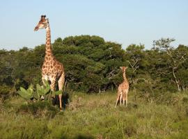 The Ranch House at African Safari Lodge，位于格拉罕镇的酒店