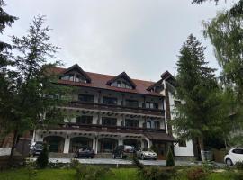 Chalet Wiese，位于波亚纳布拉索夫的住宿