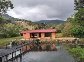 Persea Inn Finca Integral Sostenible Organica Toro Careto