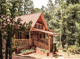 Cabañas Los Encinos，位于Acaxochitlán的酒店