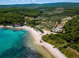 Seaside luxury villa with a swimming pool Mirca, Brac - 16183