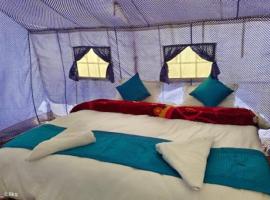 Blue Waves Camps Lake View Pangong，位于Tangtse的酒店