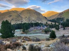 Danseys Pass Lavender Farm，位于Tokarahi的农家乐