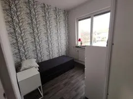 Central boende med gång avstånd till centrum och lasarettet