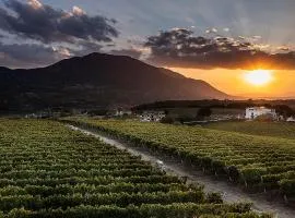 Giardino Delle Oche - Ocone Taburno Wine County