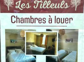 Les tilleuls，位于苏亚克的酒店