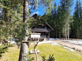 Forest Apartments Pokljuka，位于佐尔尼耶戈迪的酒店