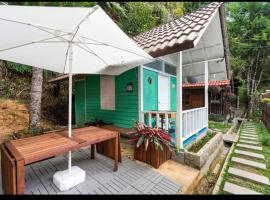 Hillside cottage chalet studio，位于丹那拉打的木屋