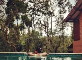 Sereno Pool Villa Chikmagalur