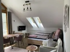 Ferienland Sonnenwald Studio 50