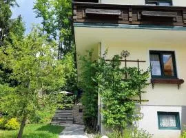 Ferienhaus Haus Bernkogelblick in Goldegg