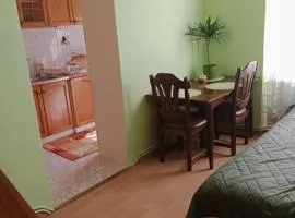 Apartament koło Dworcu