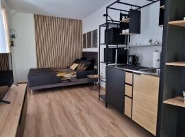 Studio Apartment Aurora，位于斯科吉卡的酒店