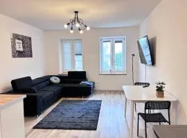 Apartament w centrum miasta 33