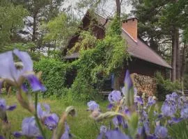 Przytulia - chata na bezdrożach Roztocza