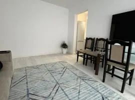 Apartament Central