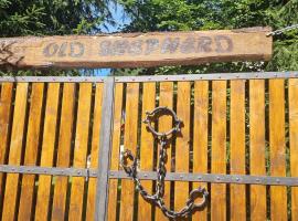 OLD SHEPHERD Guest House，位于Râșca的酒店