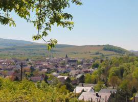 Villa Bonita del Kaiserstuhl，位于凯萨斯图尔地区萨斯巴赫的公寓