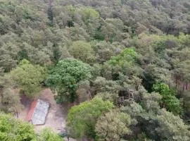 Natuurslaapkamer de zaadeest boskamer