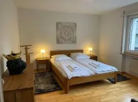 Cozy, sunny, city center 1 bedroom flat (Marble 3)